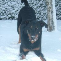 Photo #217865 de Aska