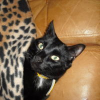 Photo #217886 de Charly