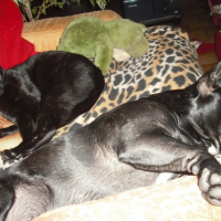 Photo #217889 de Charly