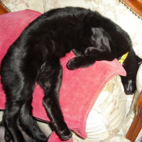 Photo #217890 de Charly
