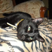 Photo #217891 de Charly