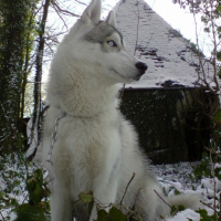 Photo #217981 de Eliott