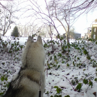 Photo #217984 de Eliott