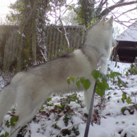 Photo #217987 de Eliott