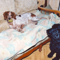 Photo #218046 de Dora