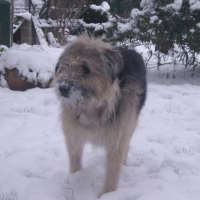 Photo #218079 de Tekila