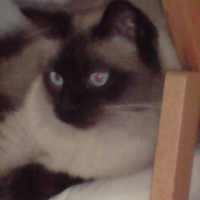 je suis pas beau!!!!!!!!!!!!!!!!!!!