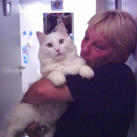 Photo #218227 de Daffy