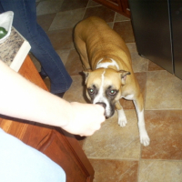 Photo #218263 de Maggie