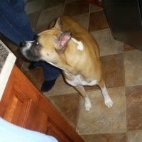 Photo #218264 de Maggie