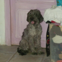 Photo #218302 de Milka