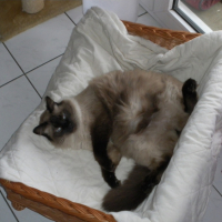 Photo #218362 de Bouba