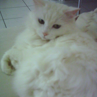 Photo #218365 de Tia