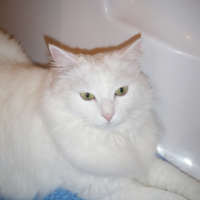Photo #218367 de Tia