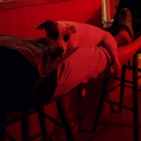 Photo #218390 de Jack