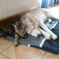 Photo #218431 de Mimine