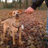 Photo #218448 de Elios
