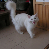 Photo #218468 de élios