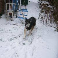Photo #218492 de Tina