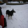 DSCF0195