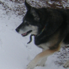 DSCF0223