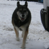 DSCF0227