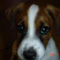 eliot_2_mois_43_
