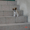 eliot_2_mois_et_demi_6_