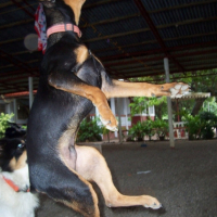 Photo #218564 de Benjo
