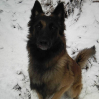 Photo #218832 de Doom