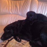 Photo #218841 de Helio