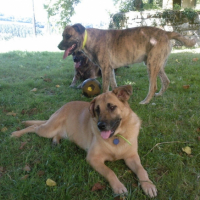 Photo #218848 de Helio