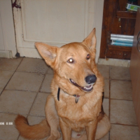 Photo #218849 de Helio