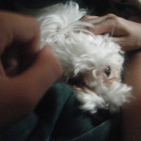 Photo #218891 de Maggie