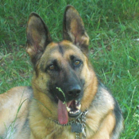 Photo #218898 de Leska  vom  farbenspiel
