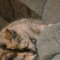 Photo #218953 de Lili