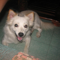 Photo #219036 de Happy