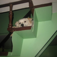 Photo #219037 de Happy
