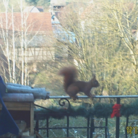 Photo #219084 de Panache