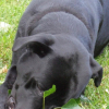 DSCF0134