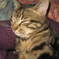 Photo #219217 de Mimi