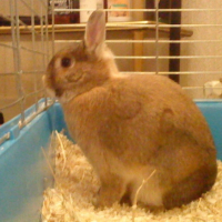 Miky à l'écoute
