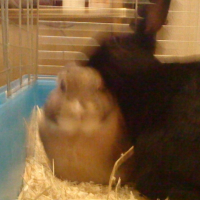 Photo #219222 de Miky