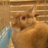 Photo #219223 de Miky