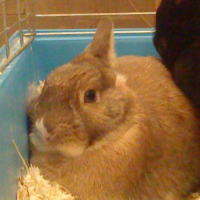 Photo #219224 de Miky