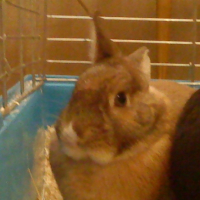 Photo #219225 de Miky