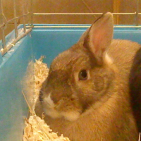 Photo #219226 de Miky