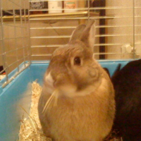 Photo #219227 de Miky