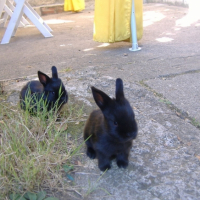 Photo #219357 de Bouly