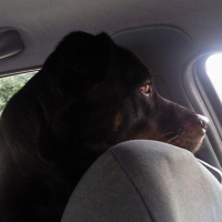 Photo #219443 de Payton